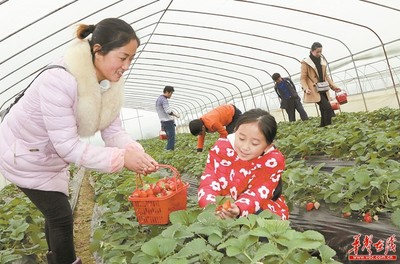宁远县家庭农场“引爆”乡村游
