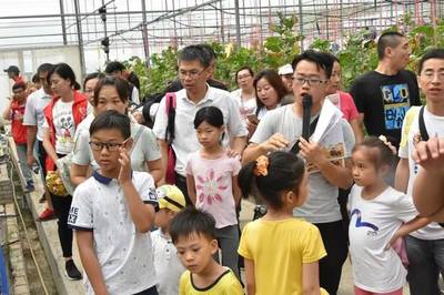 【党建】“耕植红色细胞,喜迎七一颂恩情” -环市街双创示范园区党委举办党日主题户外拓展活动