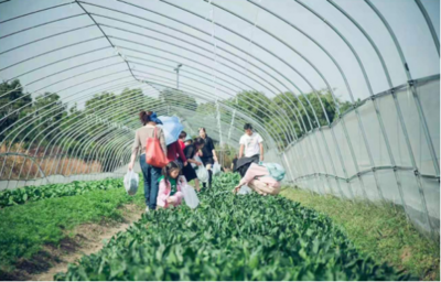 益点田,亲子农场,要与大地有一点交情。