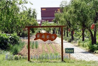 家庭农场将兴起,4个条件,农民当上农场主