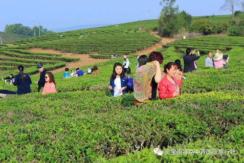 昆明 普洱 西双版纳双飞6日游480元 人