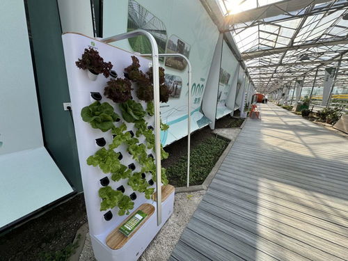 立体化种植,北京生态农场 未来感 十足