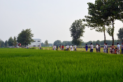 颍上县人民政府