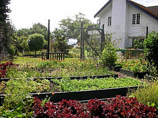 农村隐藏很深的小本创业赚钱暴利小项目