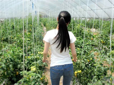 家庭农场的真实需求报告