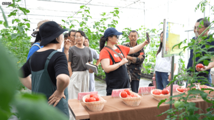 90多种瓜菜新品亮相,你都吃过吗?