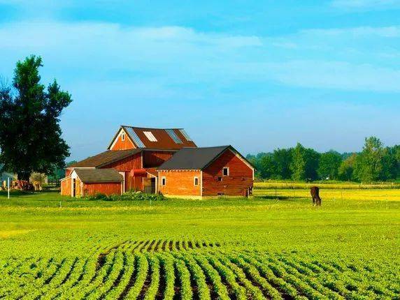 恭喜 邵东这11个家庭农场上榜