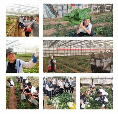 蓟州区教育系统开展“庆丰收、感党恩”主题活动