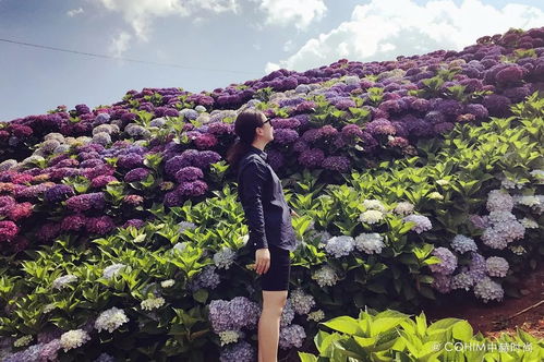 如何避免成为一个肥腻的中年妇女