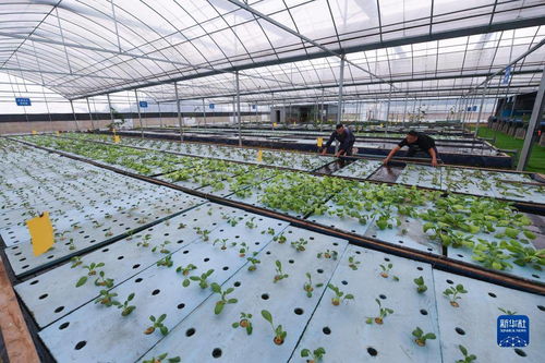 浙江湖州 生态农业助力农旅融合发展