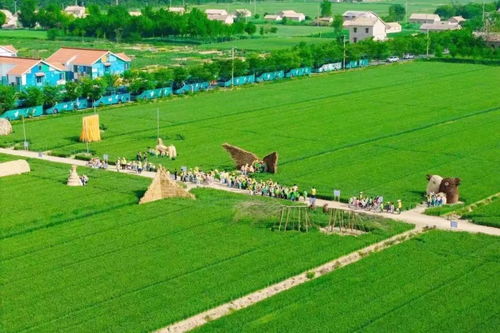 盐城市亭湖区培育家庭农场 探索农业高质量发展新路径