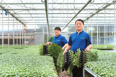 从'新农人'到'兴农人' 种植家庭农场共绘好'丰'景