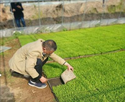 信阳市科学技术协会官网与家庭农场种植技术推广