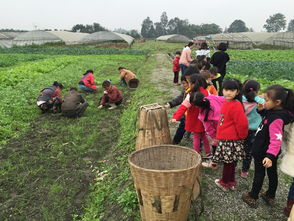 双流刘海生态家庭农场 绿色种植之路
