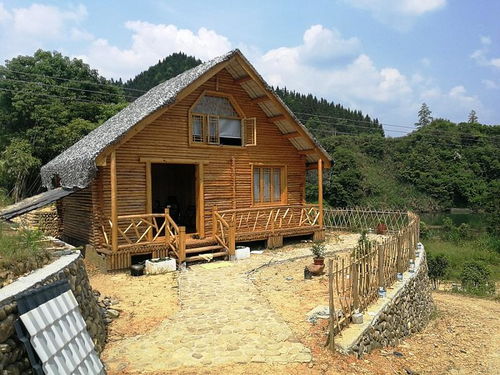 共享家庭农场 开启周末亲子农耕之旅