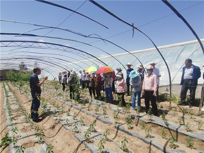 合黎镇 “三化协同”加快培育壮大家庭农场与种植家庭农场