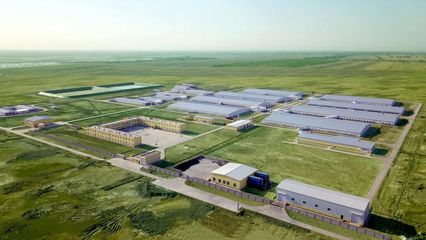 大北农联合五万农户推动养猪全产业联合发展，目标2亿头生猪