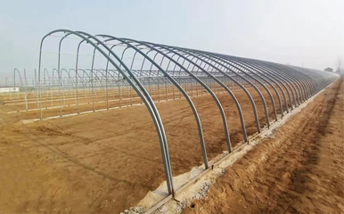 沛县人民政府推动家庭农场发展的战略与实践